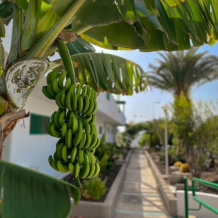 Beautiful Apartment Aguycan Beach 120 Playa Del Aguila מספאלומס מראה חיצוני תמונה