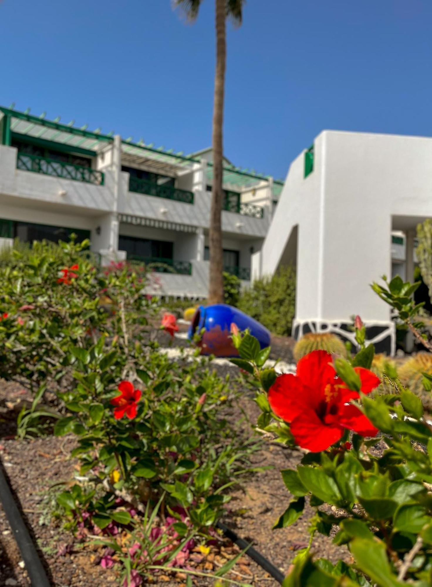 Beautiful Apartment Aguycan Beach 120 Playa Del Aguila מספאלומס מראה חיצוני תמונה