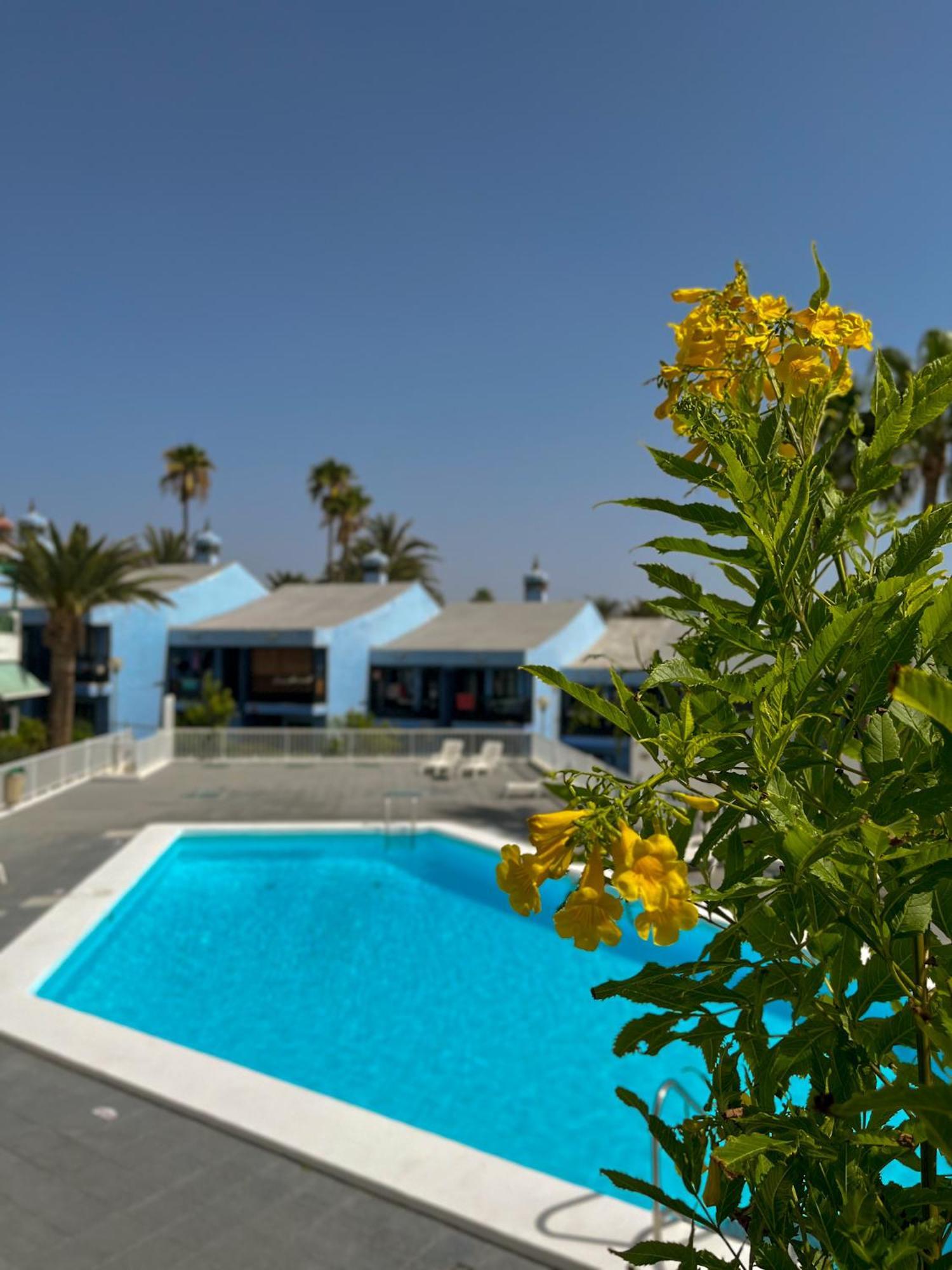 Beautiful Apartment Aguycan Beach 120 Playa Del Aguila מספאלומס מראה חיצוני תמונה